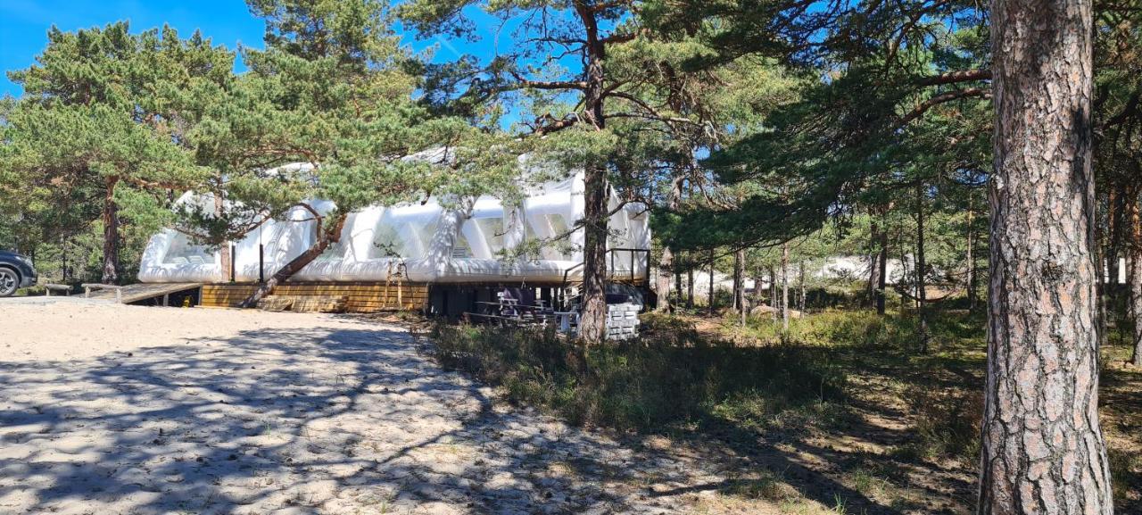 Sub Hel. Budzetowe Pokoje W Domu Z Basenem. Wokol Domu Tylko Natura. Balkon Zbyteczny. Экстерьер фото